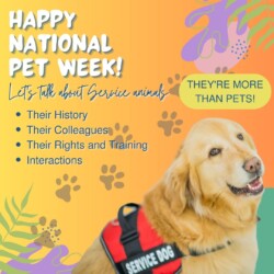 Text: Happy National Pet Week Let's talk about service animals Their History, Their Colleagues, Their Rights and Training, Interactions. Image: Orange background with paw prints and colorful palm branches and a happy golden retriever with a service dog harness on.